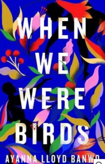When we were birds novel