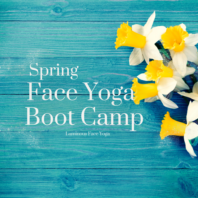 face yoga bootcamp